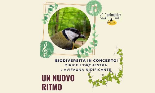 Biodiversità In Concerto